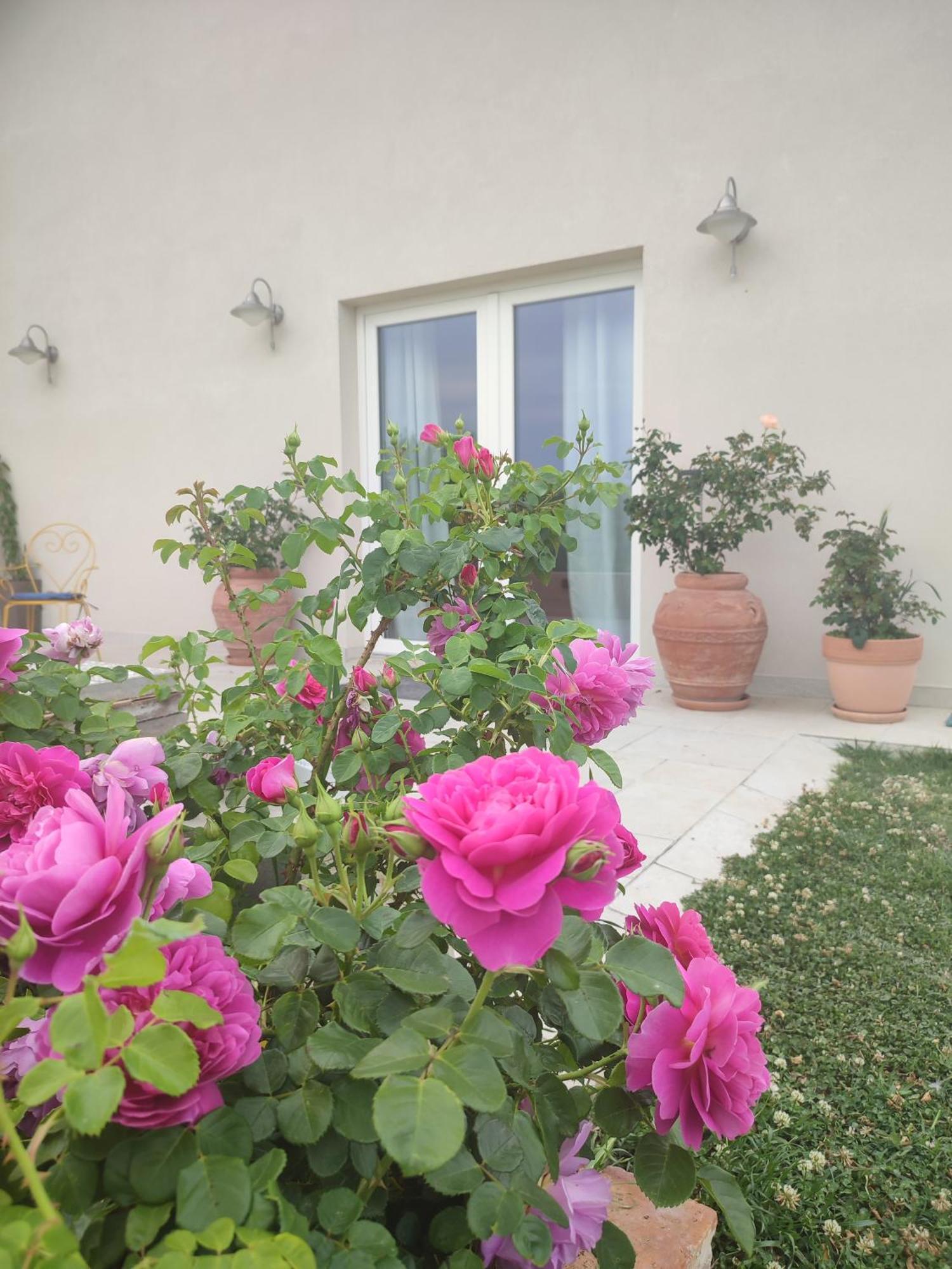 Villa La Casa Di Stefania Loft Pollutri Exterior foto
